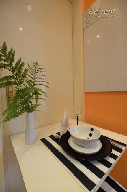 Möbliertes Mini-Apartment in traumhafter Lage am Rhein in Bonn-Castell