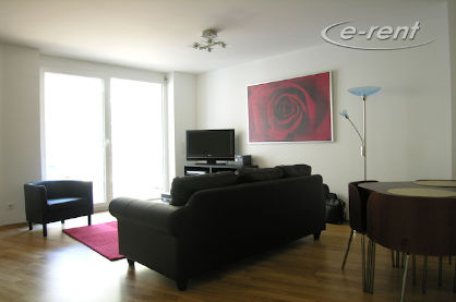 Furnished and spacious apartment in Bonn-Poppelsdorf