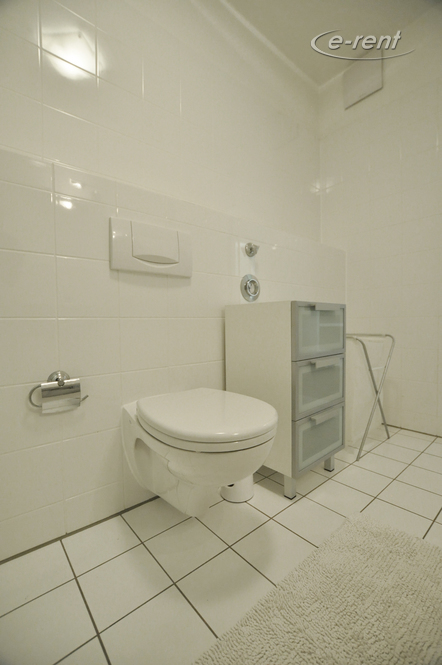 Apartment der Top-Kategorie mit Reinigungsservice in Rheinnähe