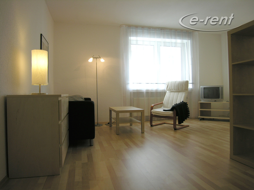 modern 1 room apartment in a central location