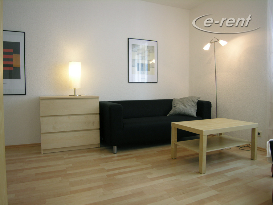 modern 1 room apartment in a central location