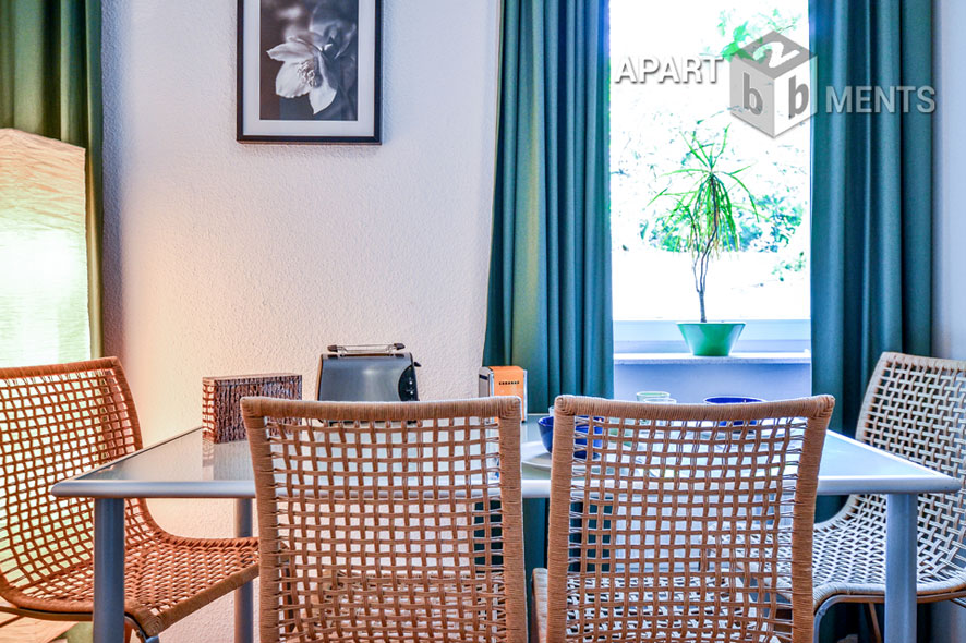 Furnished and spacious top category apartment in Bonn-Nordstadt