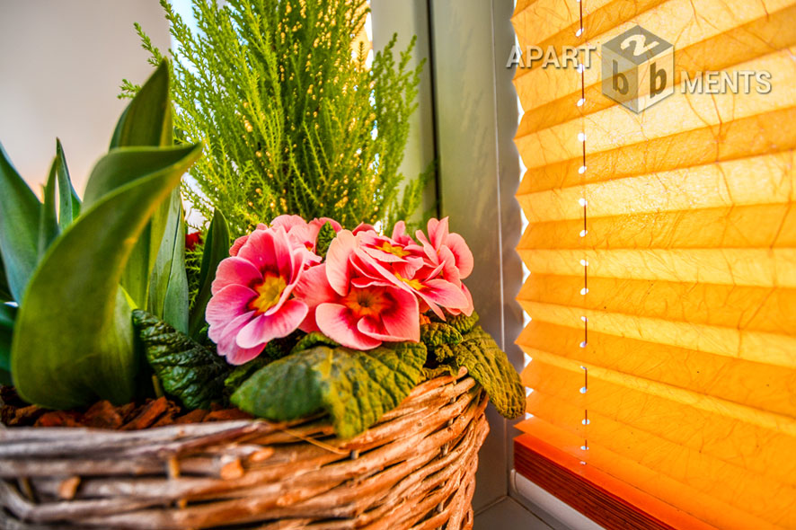 Möblierte Wohnung in verkehrsgünstiger Lage von Bonn-Beuel-Mitte