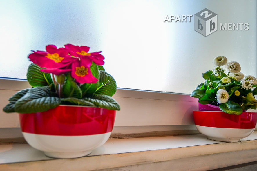 Möblierte Wohnung in verkehrsgünstiger Lage von Bonn-Beuel-Mitte