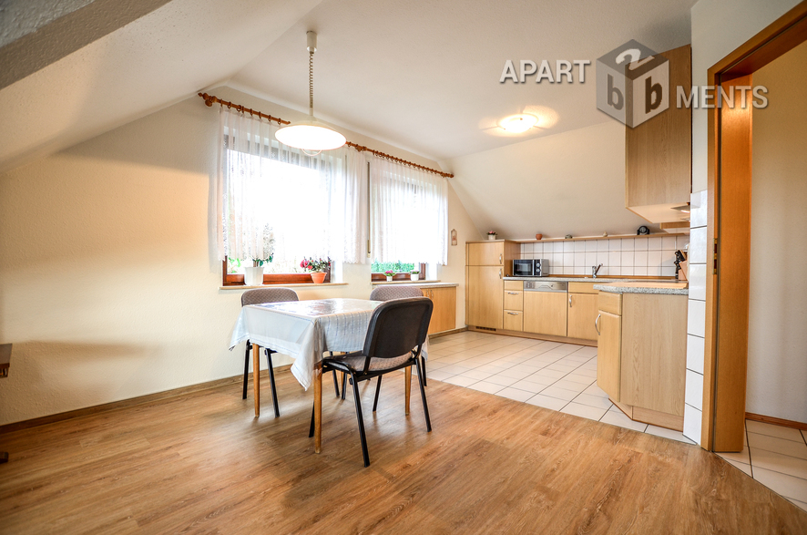 modern and antique furnished spacious apartment in Konigswinter