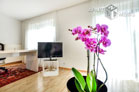 bright and modern furnished garden apartment in Bonn-Lengsdorf