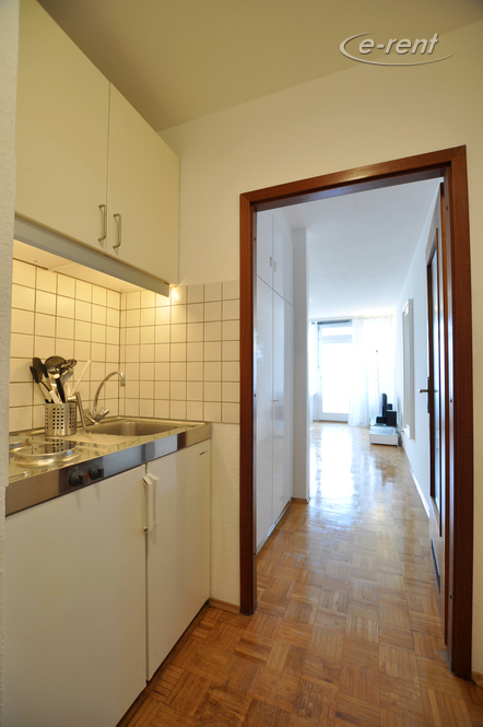 Modern Apartment with view on the Siebengebirge