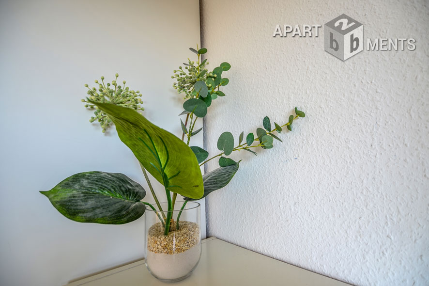 Furnished and spacious 2-room apartment with view of the Rhine in Bonn-Castell