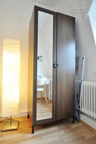 modern furnished city apartment of the top category in Bonn-Centre