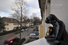 Furnished and spacious old building apartment with 2 balconies in Bonn-Villenviertel