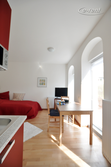 Möbliertes Apartment der gehobenen Kategorie in Bonn-Plittersdorf