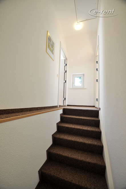 Furnished single apartment of the upscale category in Bonn-Plittersdorf
