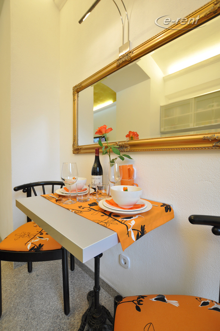 modern furnished single apartment of the top category in Bonn-Gronau