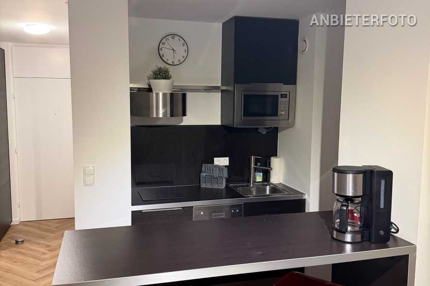 Modern furnished apartment with large terrace in Bonn-Muffendorf