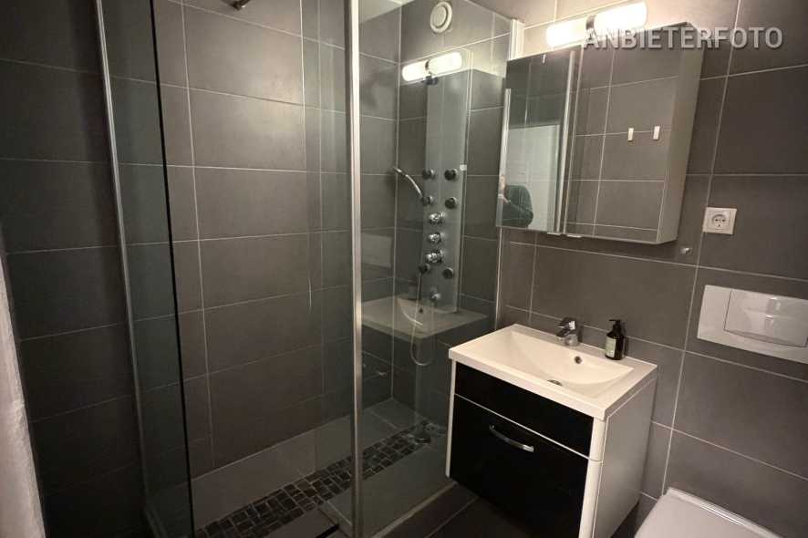 Modern furnished apartment with large terrace in Bonn-Muffendorf