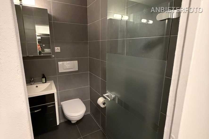 Modern furnished apartment with large terrace in Bonn-Muffendorf