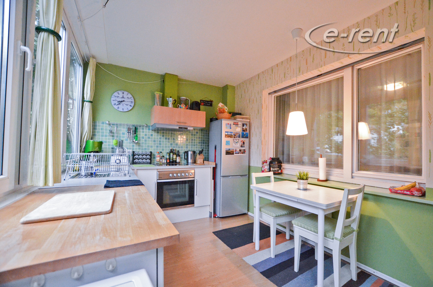 Spacious 3-room apartment with classic furnishings