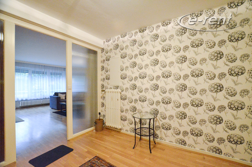 Spacious 3-room apartment with classic furnishings