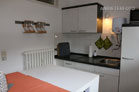 Modern furnished balcony apartment in Bonn-Plittersdorf