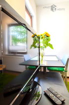 Modern möblierte Wohnung in Bonn-Plittersdorf