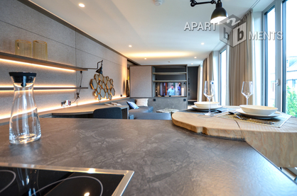 High quality furnished luxury studio apartment in Bonn-Centre