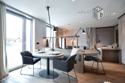 High quality furnished luxury studio apartment in Bonn-Centre