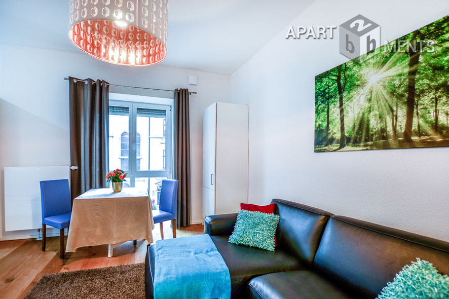 Modern furnished apartment in best residential area in Bonn-Alt-Godesberg