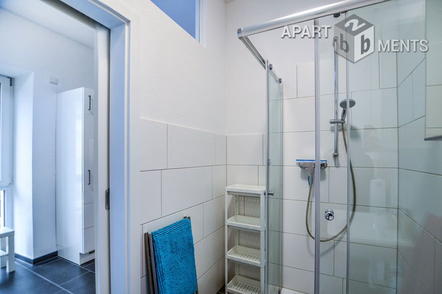 Modern furnished apartment in best residential area in Bonn-Alt-Godesberg