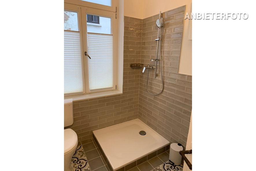 Modern möblierte Wohnung zentral in Bonn-Nordstadt