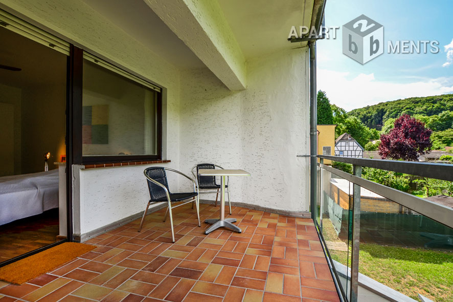 Modern furnished and spacious apartment with balcony in Bonn-Friesdorf