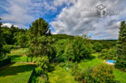 Modern furnished and spacious apartment with balcony in Bonn-Friesdorf
