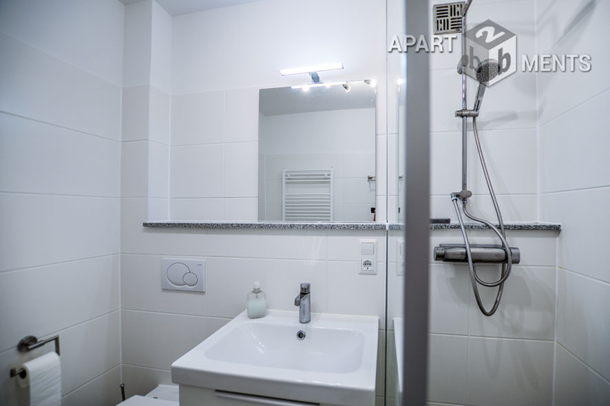 Modern furnished and spacious apartment with balcony in Bonn-Friesdorf
