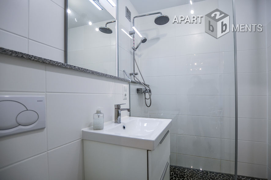 Modern furnished and spacious apartment with balcony in Bonn-Friesdorf