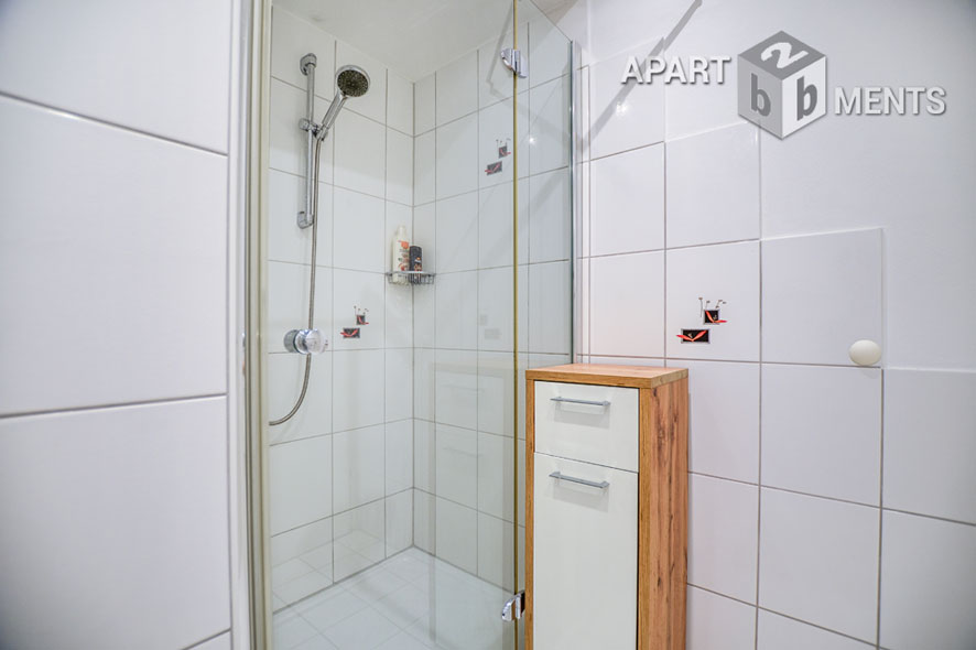 Furnished apartment with large terrace in Bonn-Bad Godesberg-Mehlem