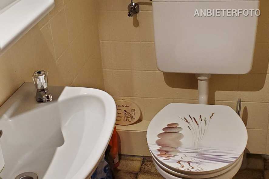 Geräumige und möblierte Wohnung mit Balkon in Meckenheim-Merl