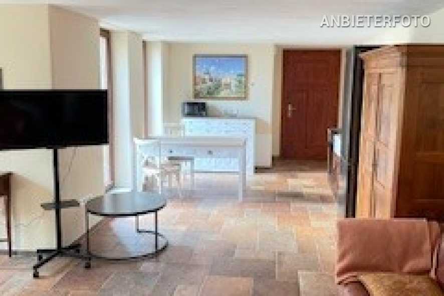 Stilvoll möblierte und geräumige Singlewohnung in Bonn-Oberkassel